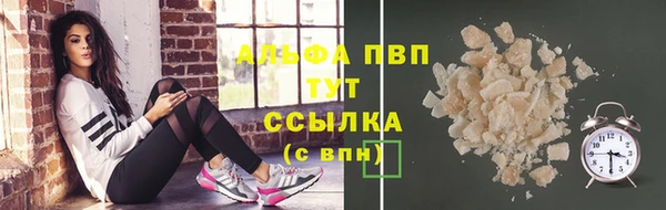метадон Богданович