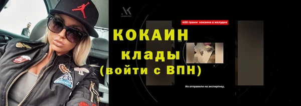 индика Белоозёрский