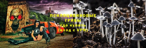 метадон Богданович