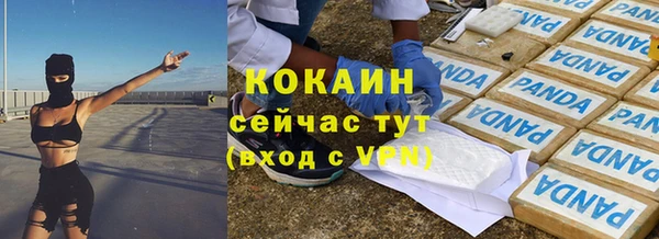 метадон Богданович