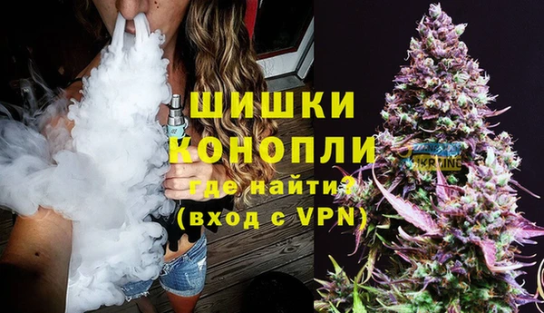шишки Богородск