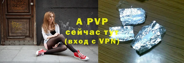 метадон Богданович