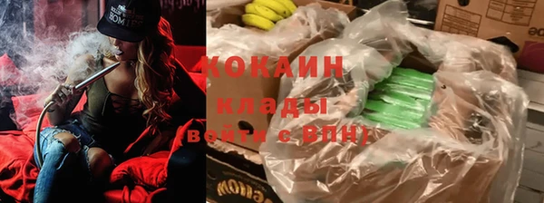 стаф Бугульма