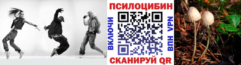 Галлюциногенные грибы мицелий  где купить наркотик  Белинский 